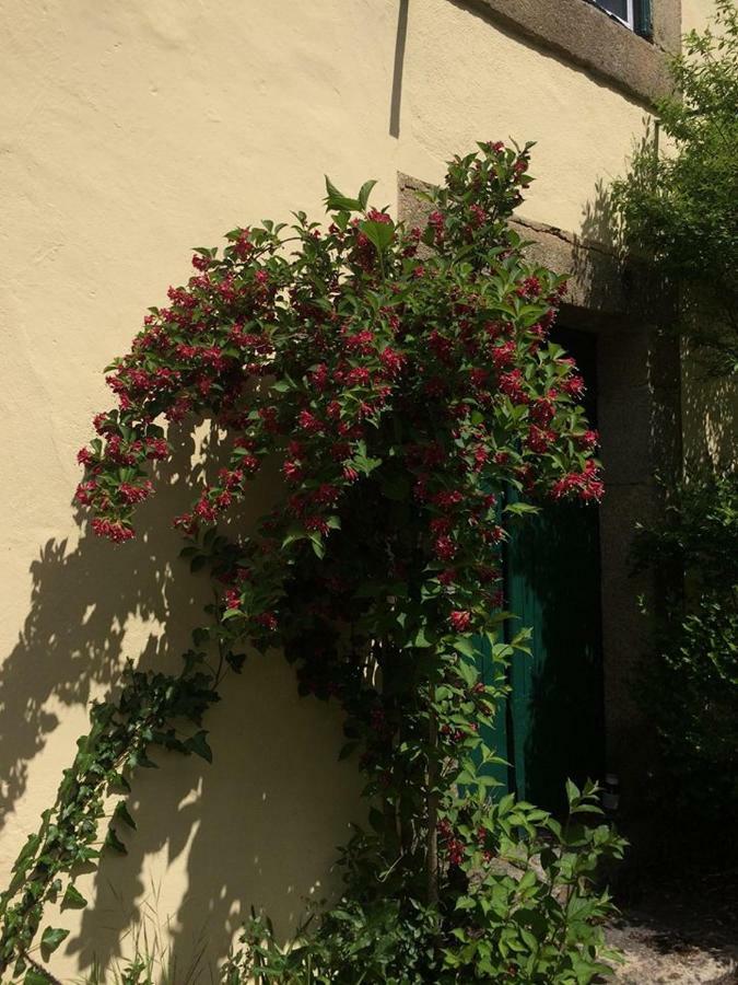 شقة فيزيو  في Quinta De Sao Miguel المظهر الخارجي الصورة